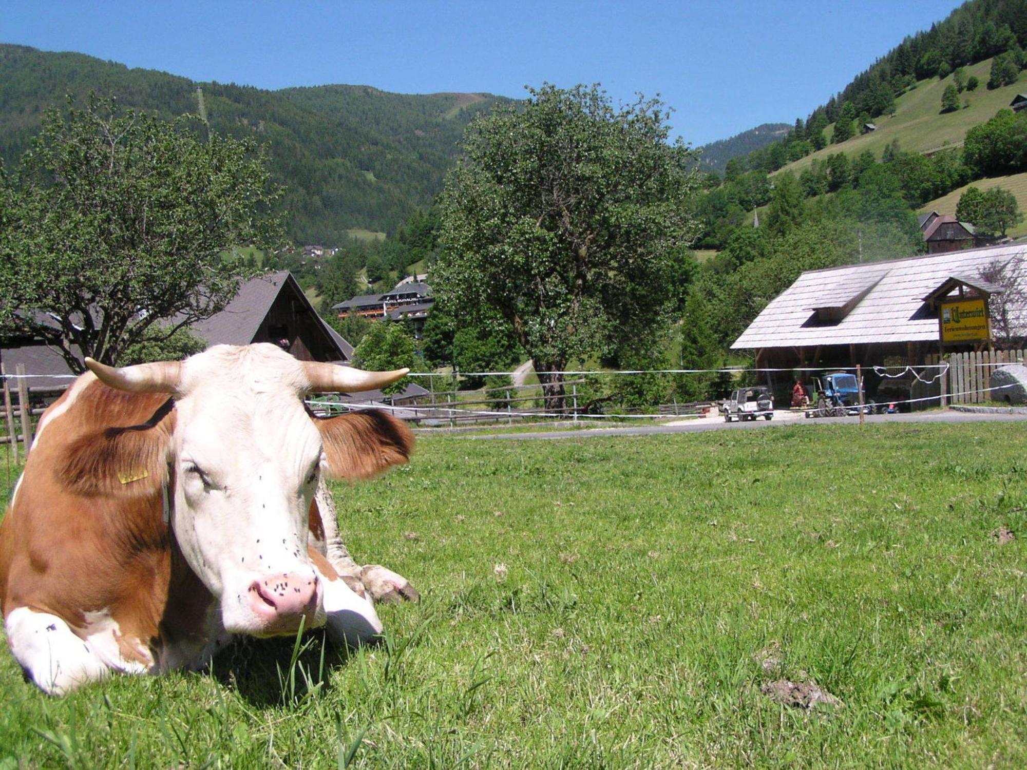 Unterwirt Bad Kleinkirchheim Exterior foto